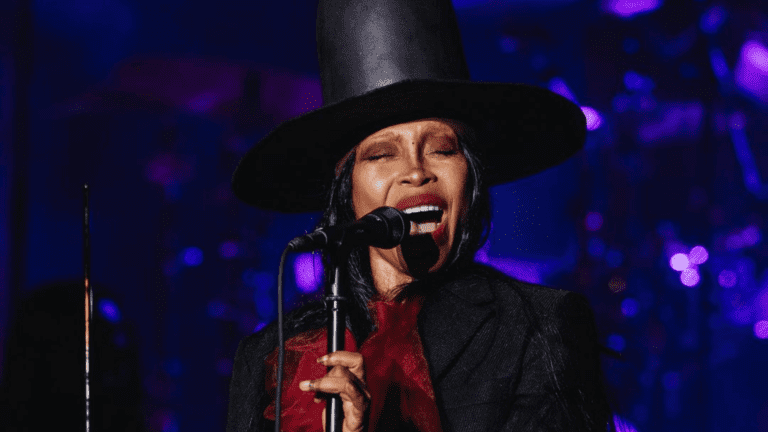 Cantora americana Erykah Badu em show no Afropunk no Prospect Park Bandshell, no Brooklyn, em Nova York | 23.ago.2024/Divulgação