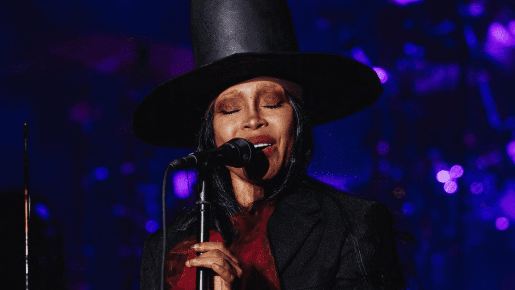 Cantora americana Erykah Badu em show no Afropunk no Prospect Park Bandshell, no Brooklyn, em Nova York | 23.ago.2024/Divulgação